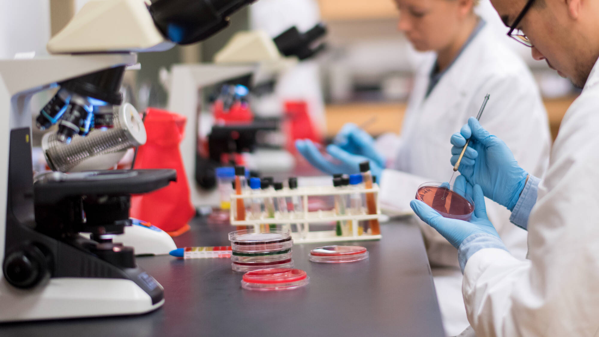 students streaking a plate.